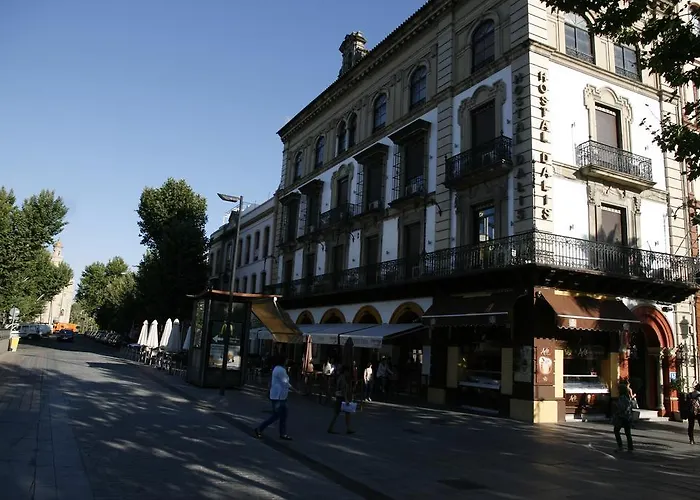 Casa de huéspedes: Hostal Dalis